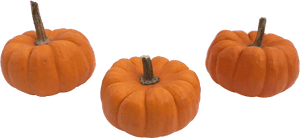 Mini Pumpkin Png - Small Pumpkin Png, Transparent Png PNG