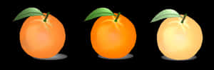 Three Oranges Color Gradient PNG image with transparent background