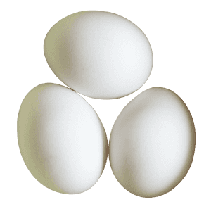 Three White Eggson Gray Background PNG image with transparent background