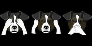 Three Wise Dogs Illustration PNG image with transparent background