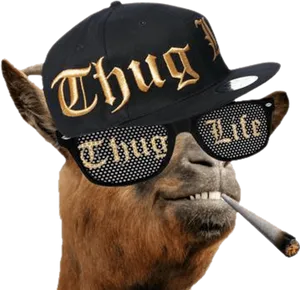 Thug Life Llamawith Glassesand Hat PNG Image