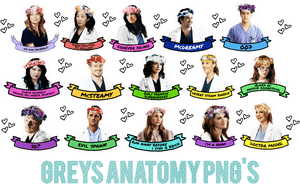 Thumb Image - Transparent Grey's Anatomy Png, Png Download PNG image with transparent background