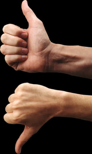 Thumbs Upand Down Gestures PNG image with transparent background