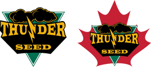 Thunder Seed PNG