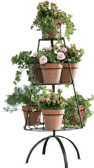 Transparent Flower Stand Png, Png Download PNG with transparent background