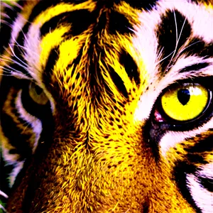 Tiger Eyes In The Jungle Png 21 PNG Image