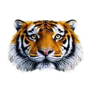 Tiger Face Close-up Png Wlo87 PNG Image