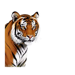 Tiger Face In Shadows Png 23 PNG Image