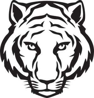 Tiger Face Png Download Image - Easy Drawing Of A Tiger PNG image with transparent background
