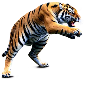 Tiger Full Of Anger Png Qoi89 PNG Image