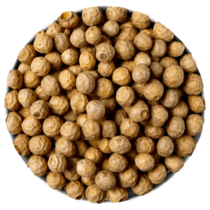 Tiger Nut PNG 06122024 PNG with transparent background