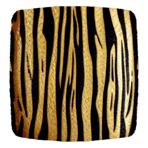 Tiger Print PNG 06252024 PNG with transparent background