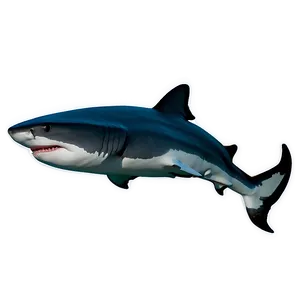 Tiger Shark Black And White Png 85 PNG Image