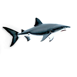 Tiger Shark Black And White Png 88 PNG Image