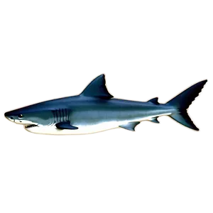 Tiger Shark Fin Graphic Png Hly PNG Image