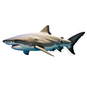 Tiger Shark Side View Png Lvb4 PNG Image