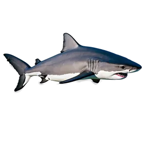 Tiger Shark Swimming Clipart Png Gof PNG Image