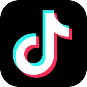 Tik Tok Logo Icon PNG Image