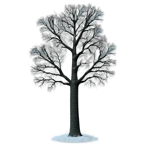 Titanic Poplar Tree Png Wcm PNG Image