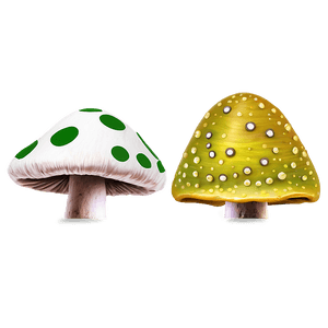 Toadstool Trio PNG 06242024 PNG