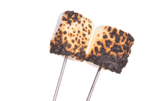 Toasted Marshmallowson Sticks PNG image with transparent background