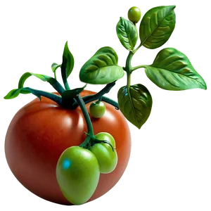 Tomato Plant Png 06212024 PNG Image