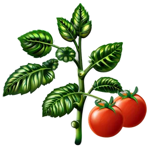 Tomato Plant Png Jpn PNG Image