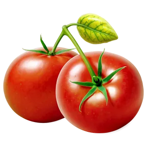 Tomatoes A PNG Image