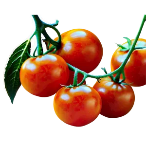 Tomatoes C PNG Image