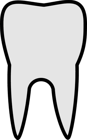 Tooth Image Black And White, HD Png Download PNG image with transparent background