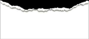 Torn Paper Edge Texture PNG