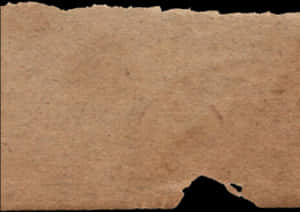 Torn Paper Edge Texture PNG image with transparent background