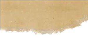 Torn_ Paper_ Edge_ Texture PNG Image