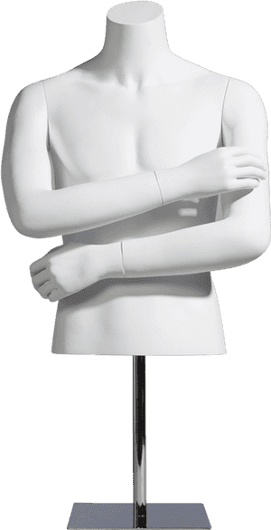Half Mannequin / Male / Mcmf M0600 Half - Mannequin, HD Png Download PNG image with transparent background