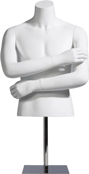 Torso Mannequinon Stand PNG Image