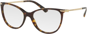 Tortoiseshell Acetate Eyeglasses PNG Image