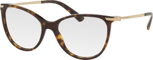 Tortoiseshell Round Glasses PNG Image