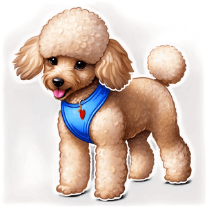Toy Poodle Artwork PNG 06112024 PNG image with transparent background