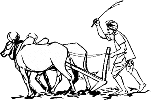 An Indian Farmer Essay - Indian Farmer Clipart, HD Png Download PNG with transparent background