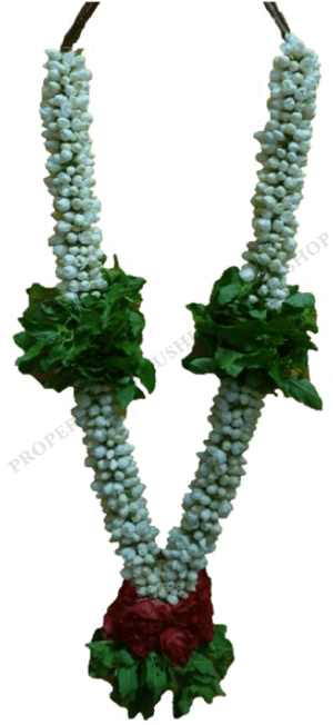 Jasmine Garland Png Free Download - Garland Png Free Download, Transparent Png PNG with transparent background