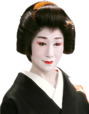 Traditional Geisha Portrait PNG Image