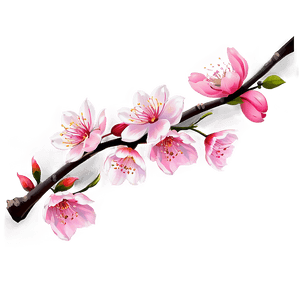 Traditional Japanese Cherry Blossom PNG 05032024 PNG image with transparent background