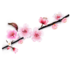 Traditional Japanese Cherry Blossom PNG amx59 PNG image with transparent background