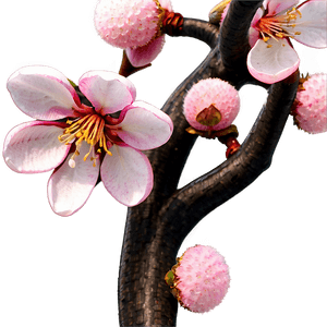 Traditional Japanese Cherry Blossom PNG ion PNG image with transparent background