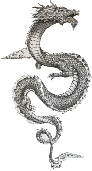 #traditional #japanese #dragon #freetoedit - Traditional Ancient Japanese Dragons, HD Png Download PNG image with transparent background