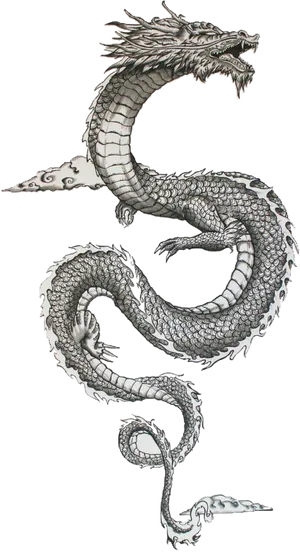 Traditional Japanese Dragon Art PNG Image