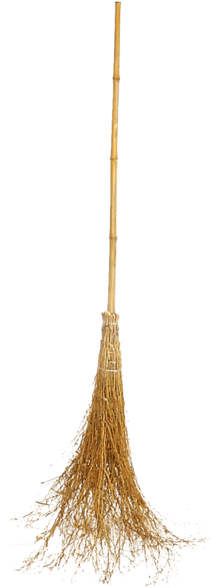 Witch Broom Bamboo - Tree, HD Png Download PNG image with transparent background