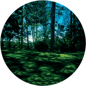 Apollo Meadow - Cs-0109 - Circle, HD Png Download PNG with transparent background