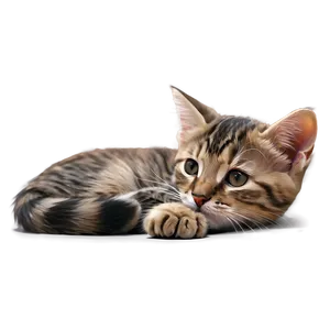 Tranquil Kitten Rest Png 06242024 PNG Image