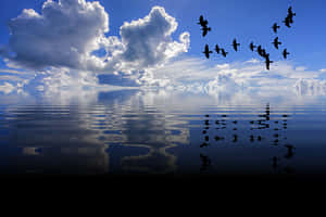 Tranquil_ Sea_and_ Sky_with_ Birds PNG image with transparent background